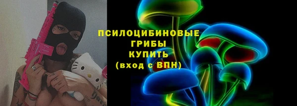 мдпв Щёлкино