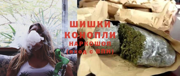 прущие крисы Ельня