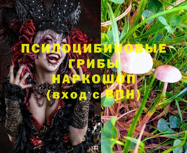 прущие крисы Ельня